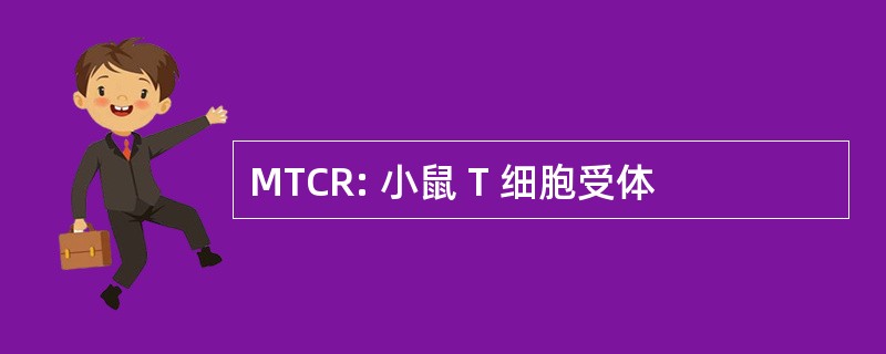 MTCR: 小鼠 T 细胞受体