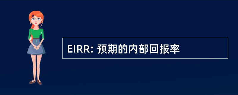 EIRR: 预期的内部回报率