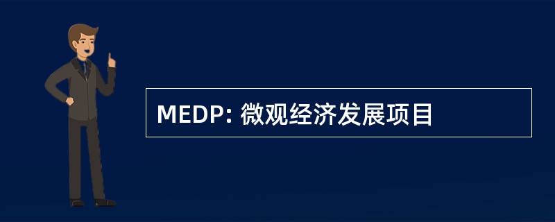 MEDP: 微观经济发展项目