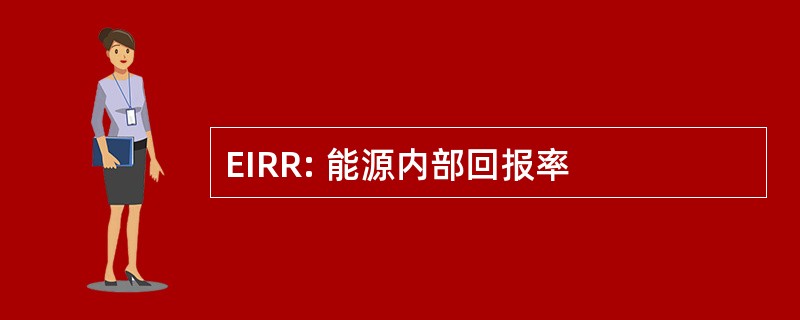 EIRR: 能源内部回报率