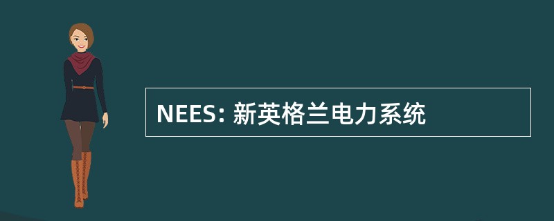 NEES: 新英格兰电力系统