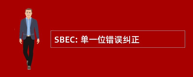 SBEC: 单一位错误纠正