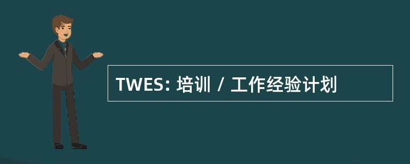 TWES: 培训 / 工作经验计划