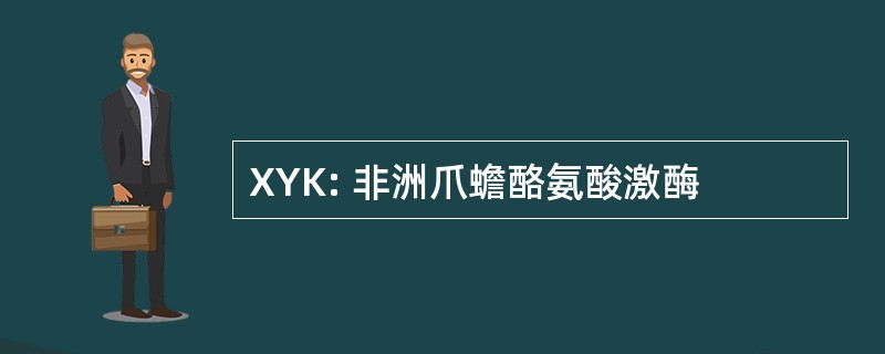 XYK: 非洲爪蟾酪氨酸激酶