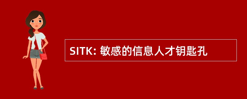 SITK: 敏感的信息人才钥匙孔