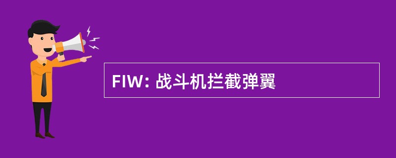 FIW: 战斗机拦截弹翼