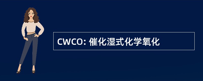 CWCO: 催化湿式化学氧化