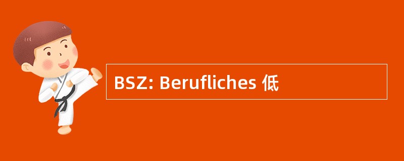 BSZ: Berufliches 低