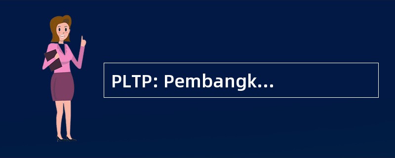 PLTP: Pembangkit Listrik 国家能源拉夫帕 Bumi