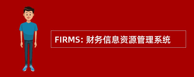 FIRMS: 财务信息资源管理系统