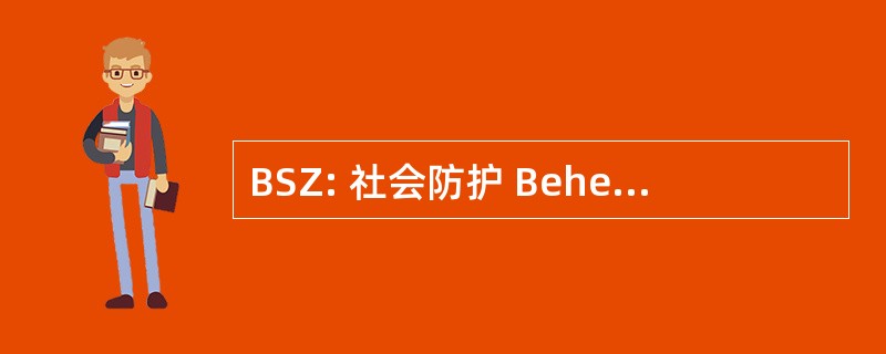 BSZ: 社会防护 Beheerscomité van de Zekerheid