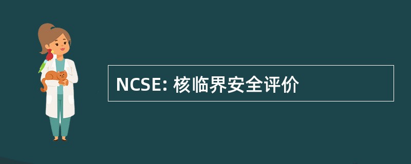 NCSE: 核临界安全评价