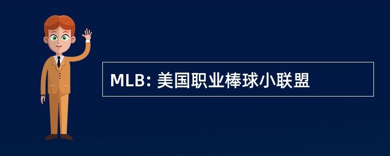 MLB: 美国职业棒球小联盟