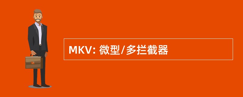 MKV: 微型/多拦截器