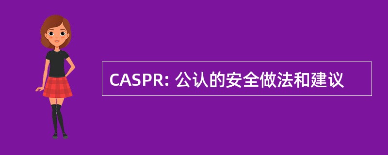 CASPR: 公认的安全做法和建议