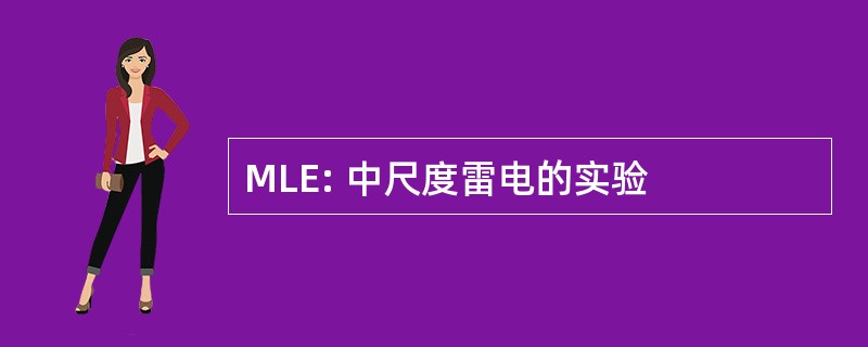 MLE: 中尺度雷电的实验