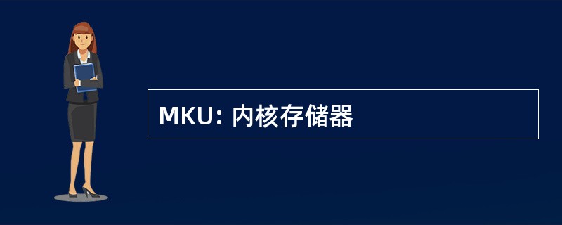 MKU: 内核存储器