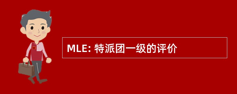 MLE: 特派团一级的评价