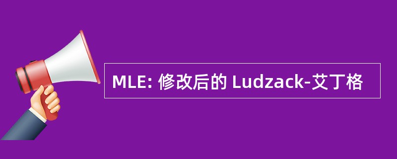 MLE: 修改后的 Ludzack-艾丁格