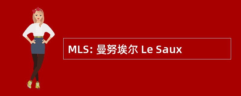 MLS: 曼努埃尔 Le Saux