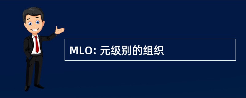 MLO: 元级别的组织