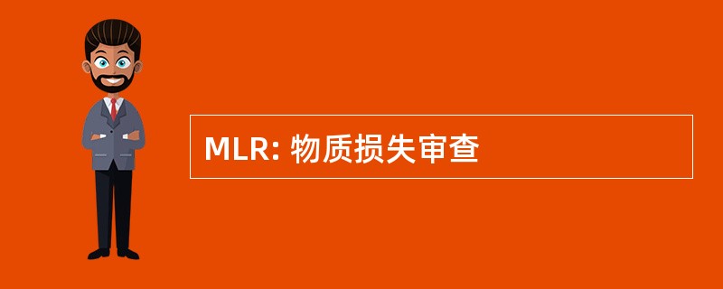 MLR: 物质损失审查