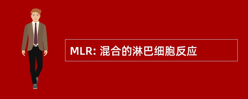 MLR: 混合的淋巴细胞反应