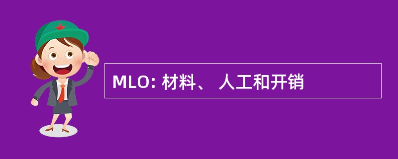 MLO: 材料、 人工和开销