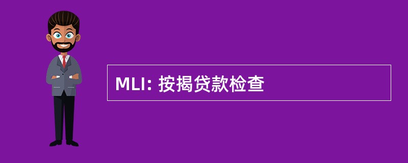 MLI: 按揭贷款检查