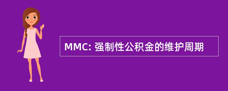 MMC: 强制性公积金的维护周期