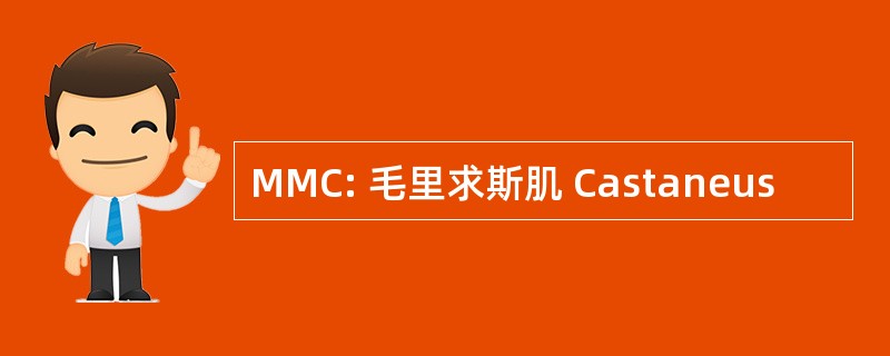 MMC: 毛里求斯肌 Castaneus