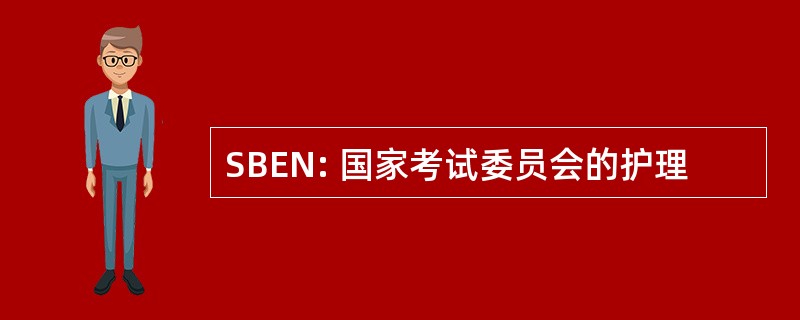 SBEN: 国家考试委员会的护理