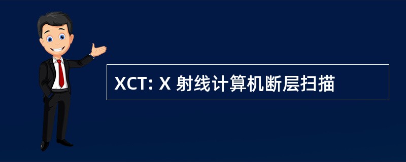 XCT: X 射线计算机断层扫描