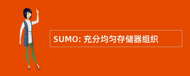 SUMO: 充分均匀存储器组织