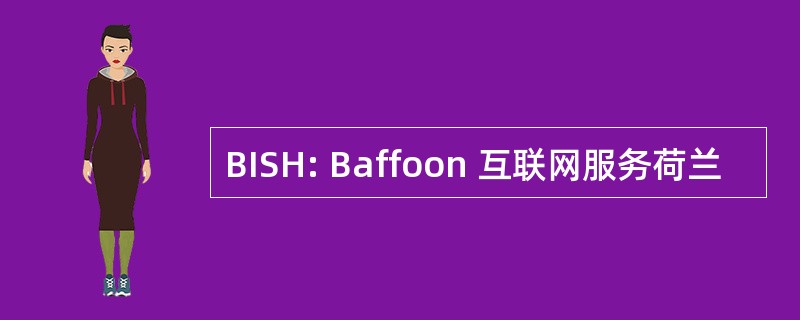 BISH: Baffoon 互联网服务荷兰