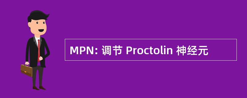 MPN: 调节 Proctolin 神经元