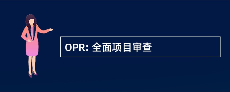 OPR: 全面项目审查