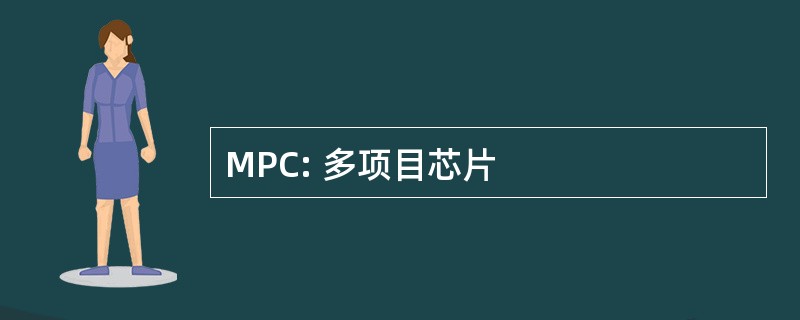 MPC: 多项目芯片