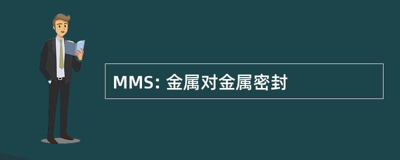 MMS: 金属对金属密封