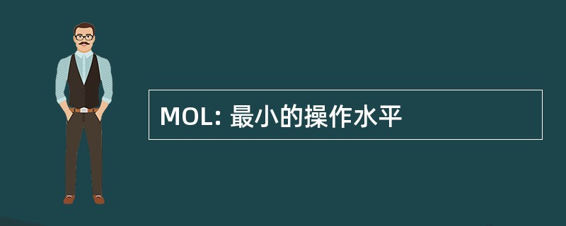 MOL: 最小的操作水平