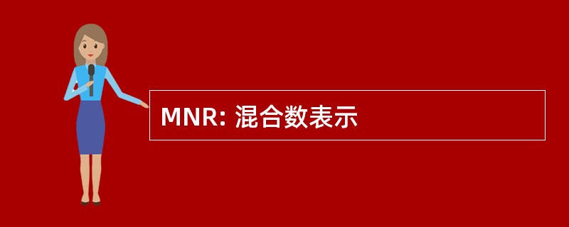 MNR: 混合数表示