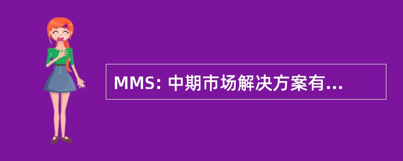 MMS: 中期市场解决方案有限公司。