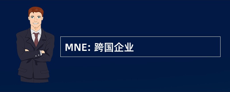 MNE: 跨国企业