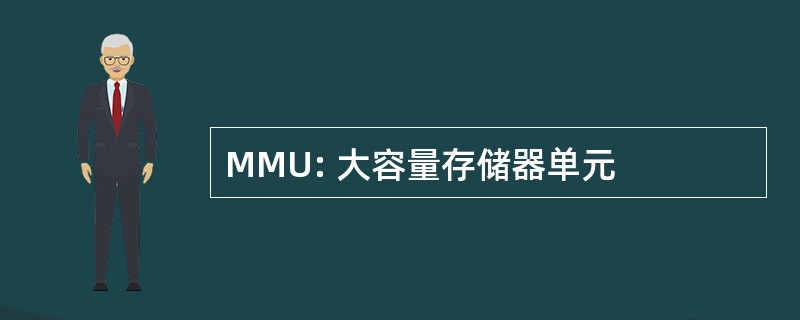 MMU: 大容量存储器单元