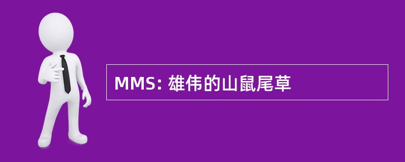 MMS: 雄伟的山鼠尾草