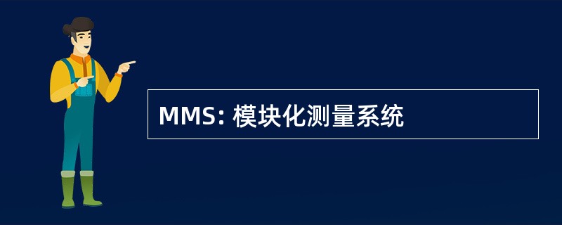 MMS: 模块化测量系统