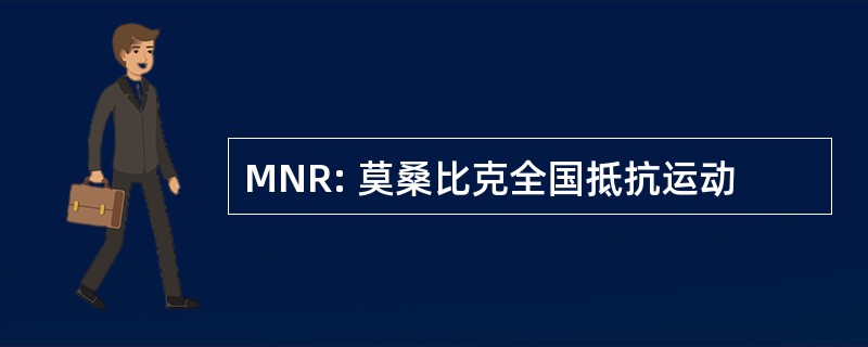 MNR: 莫桑比克全国抵抗运动