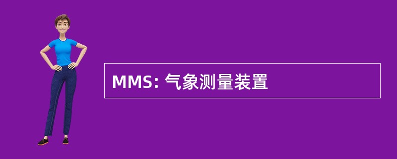 MMS: 气象测量装置