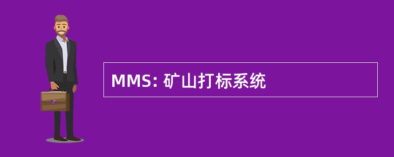 MMS: 矿山打标系统