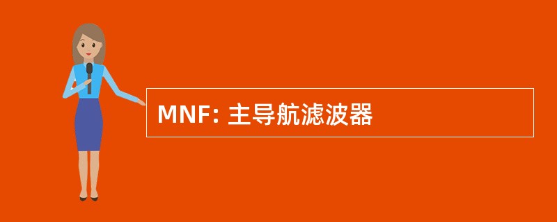 MNF: 主导航滤波器